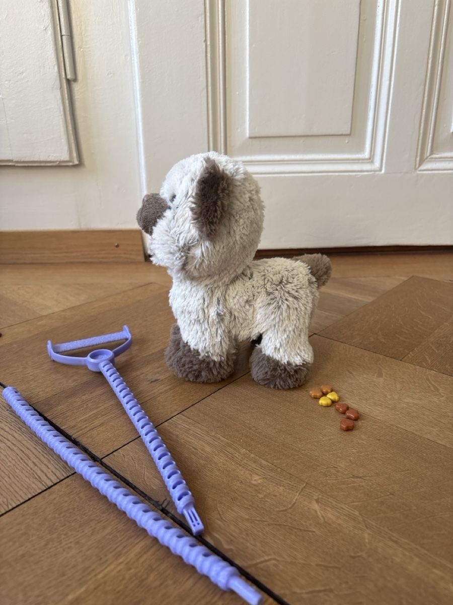 Giocattoli: FurReal friends Katze – Usato da Bern venduto da 24Sonne24 1