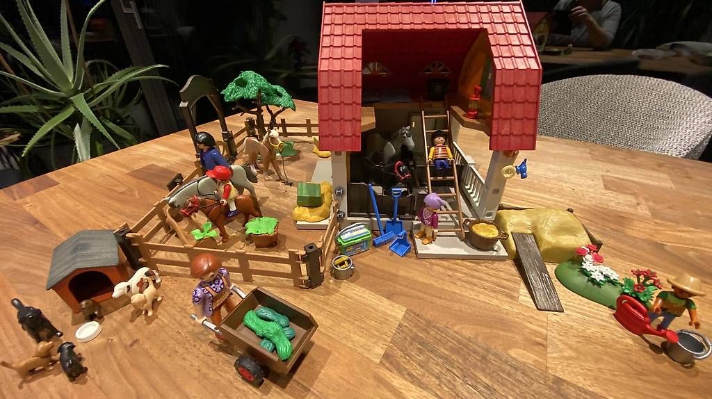 Giocattoli: Playmobil 5222 Ponyhof – Usato da Pfungen venduto da stigi72 1