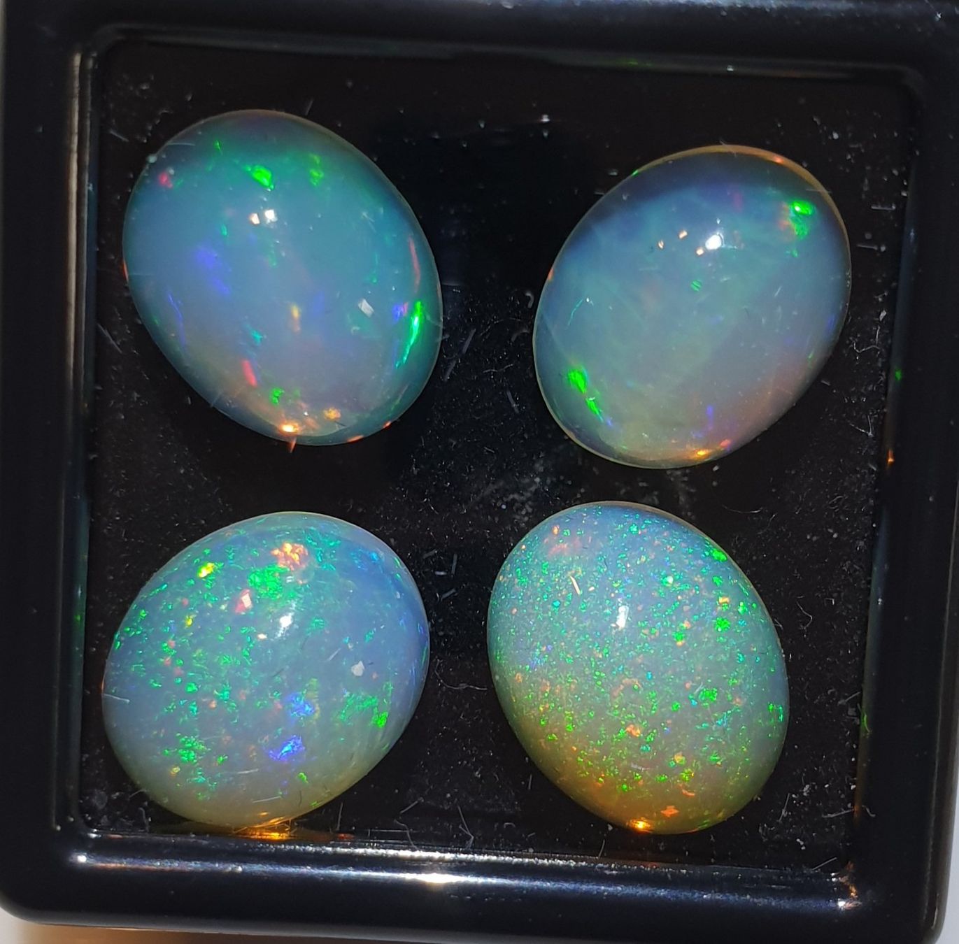Pietre preziose: Opal 4. WUNDERSCHÖNE ✨️Opal Cabochons – Nuovo e nell'imballaggio originale da Eschlikon TG venduto da Maximum2011 7