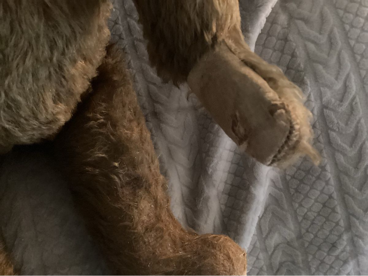 Steiff Spielzeuge: ANTIKER TEDDY – Gebraucht aus Münchenstein von NoSu98 6