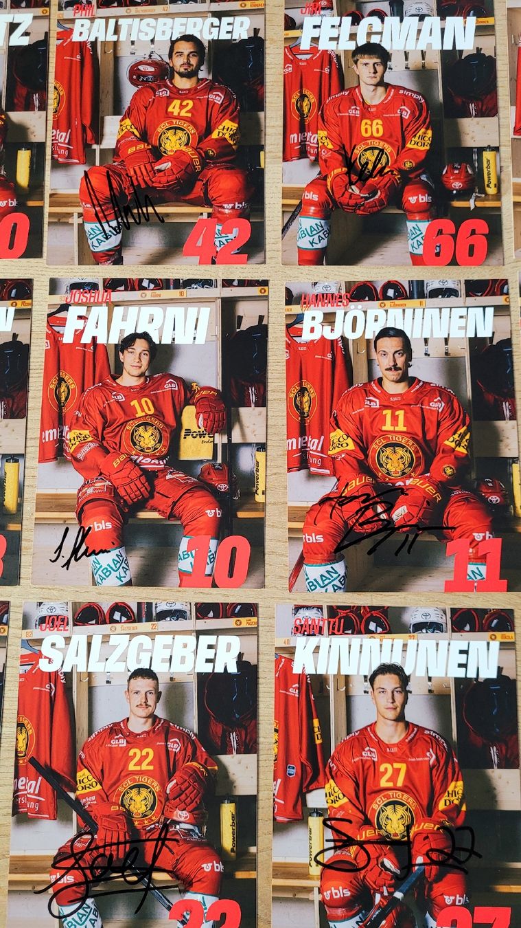 Autografi: SCL Tigers signierte Autogrammkarten  – Usato da Steffisburg venduto da Gismo49 2