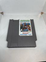Anticipation NES Nintendo