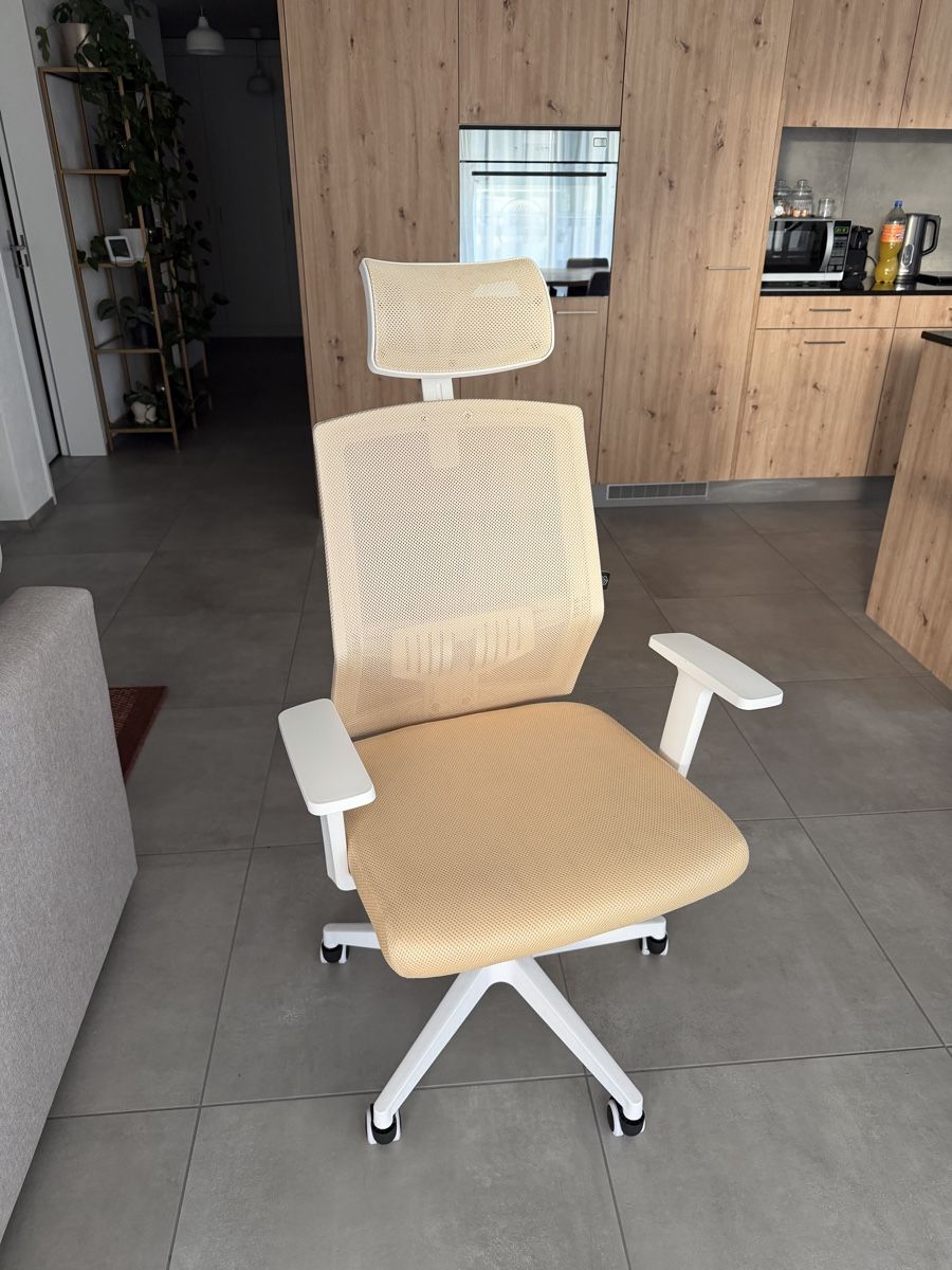 Stühle: Ergonomischer Bürostuhl – Gebraucht aus Seewen SZ von mads_around