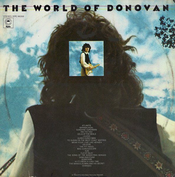 Dischi in vinile: Donovan: The World of Donovan - 2LP – Usato da Steinhausen venduto da Vilivinili