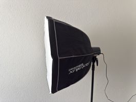 Elinchrom D-Lite RX ONE Studioblitz-Set + 70cm Softbox 