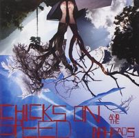 Chicks On Speed and the Noheads - Press.