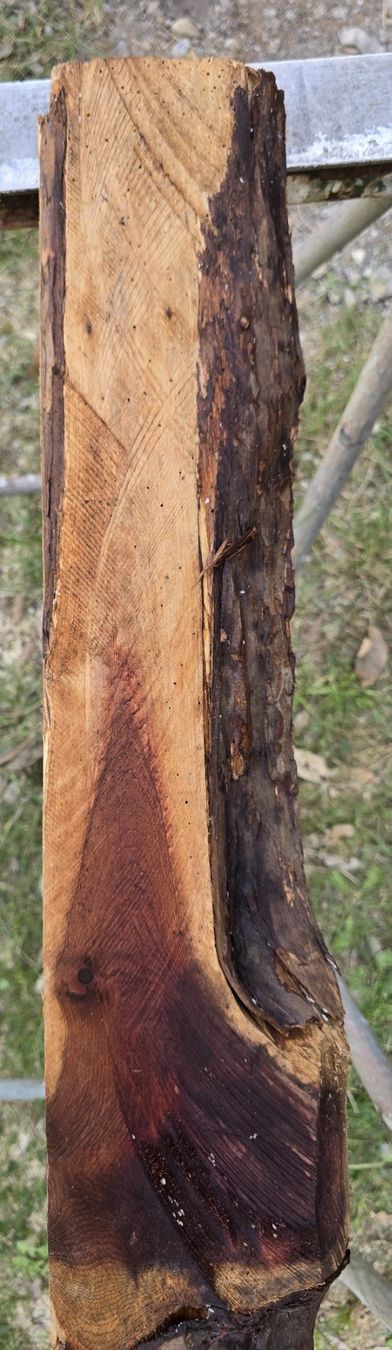 Articoli in legno: Altes Holzbrett  – Usato da Rorschacherberg venduto da snOOpydOg11 6