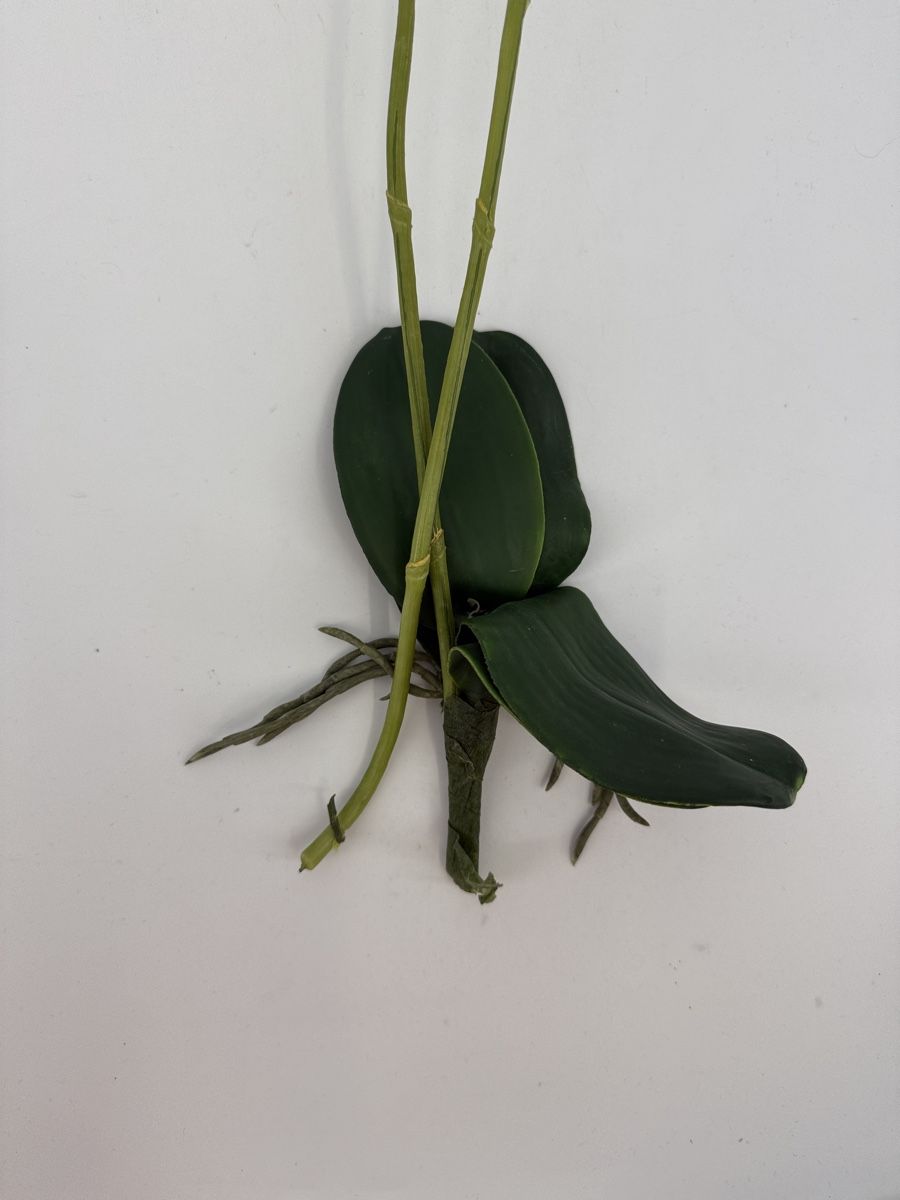 Piante & sementi: Künstliche Orchidee  – Usato da Auenstein venduto da moin. 2