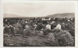 Pfyn
