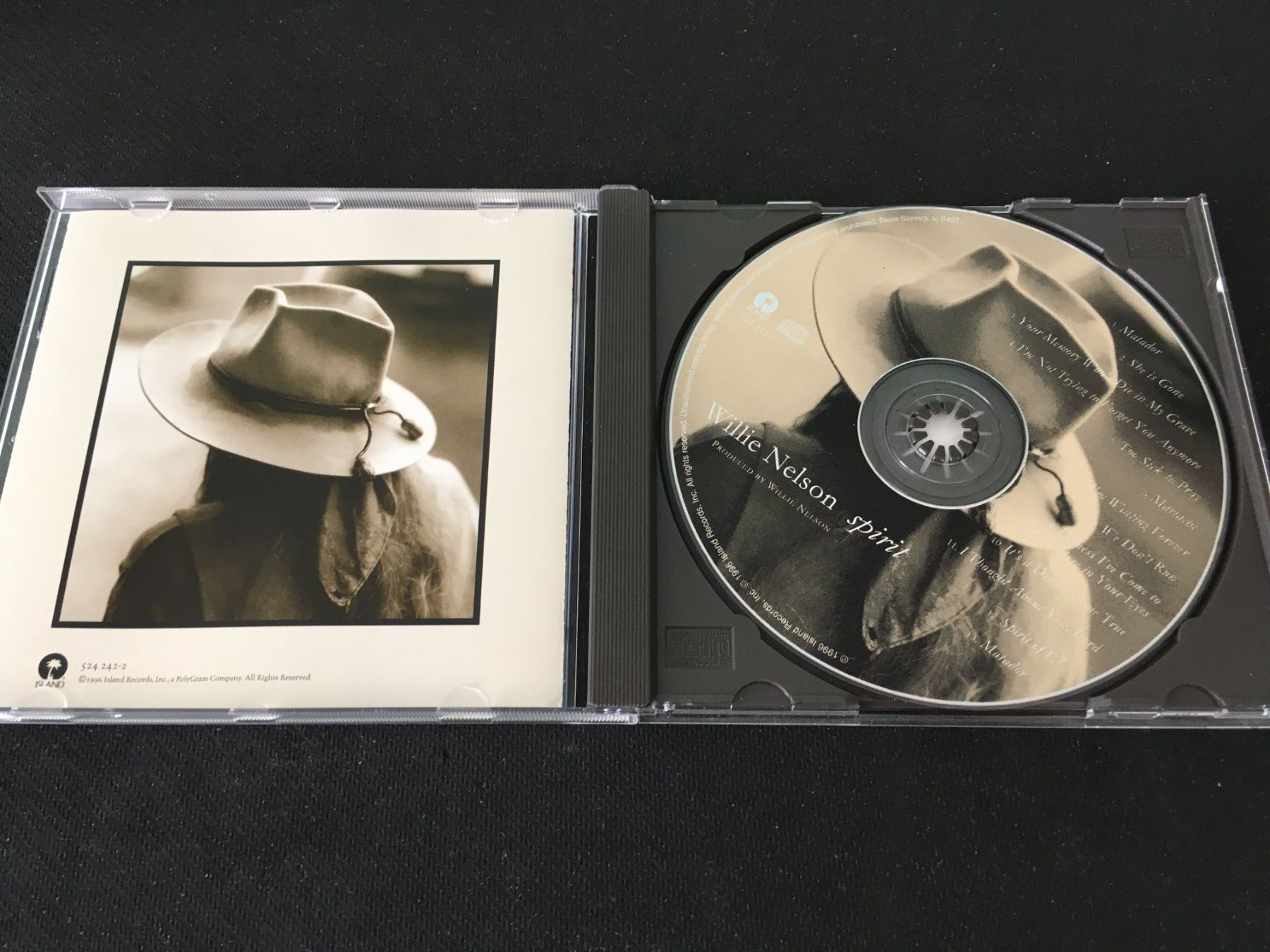 CD: Willie Nelson - Spirit -CD- – Usato da St.Gallen venduto da MedienJoe 1