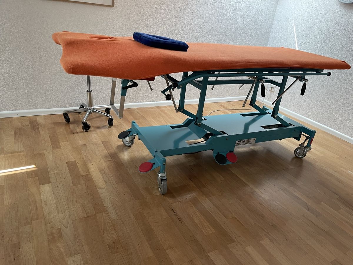 Sedie a sdraio: Therapieliege elektrisch – Usato da Basel venduto da grieg325 1