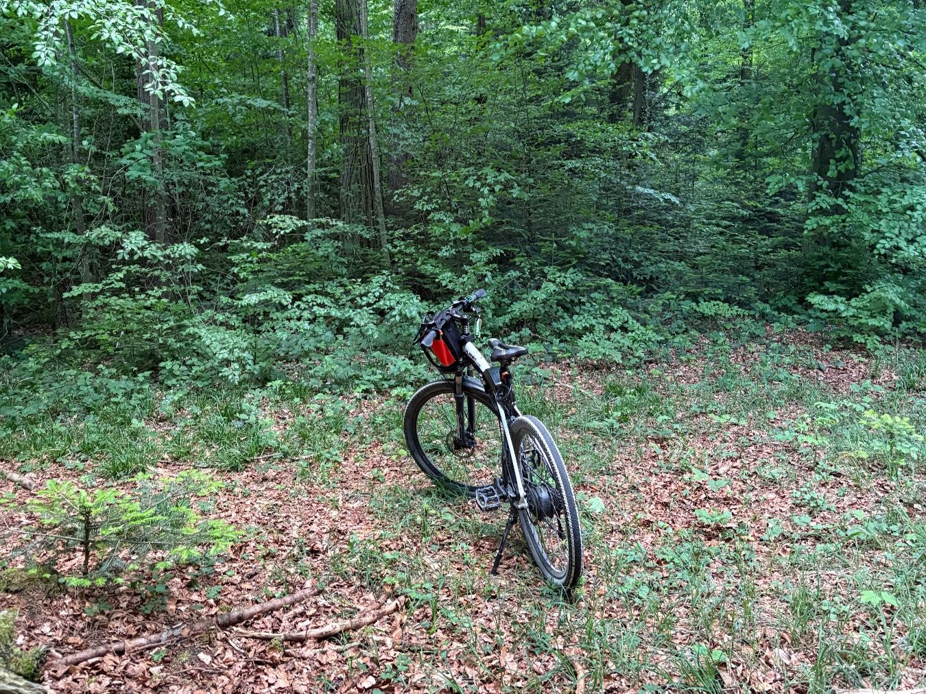 Velos: LANKELEISI E-Bike / Elektro-Klappvelo – Gebraucht aus Zumikon von jc9_w5z5 3