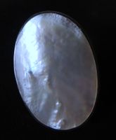 Perlmutt Silber 925 Fingerring Gr. 55