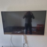 TV Panasonic Wandmodel smart-TV
