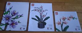 3 Pflanzen von Lego Botanicals