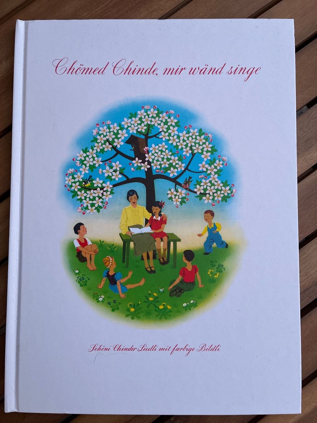 Libri: BUCH-Kinderliederbuch mit CD "Chömed Chinde, mir wänd singe" – Usato da Guntershausen venduto da Gloominati