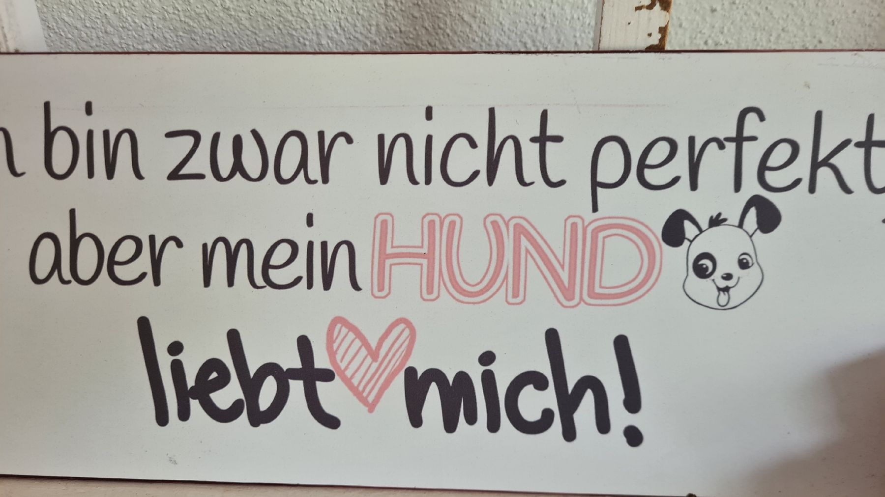 Insegne: Schild für Hundefreunde – Nuovo e nell'imballaggio originale da Böttstein venduto da decodor-angi 1