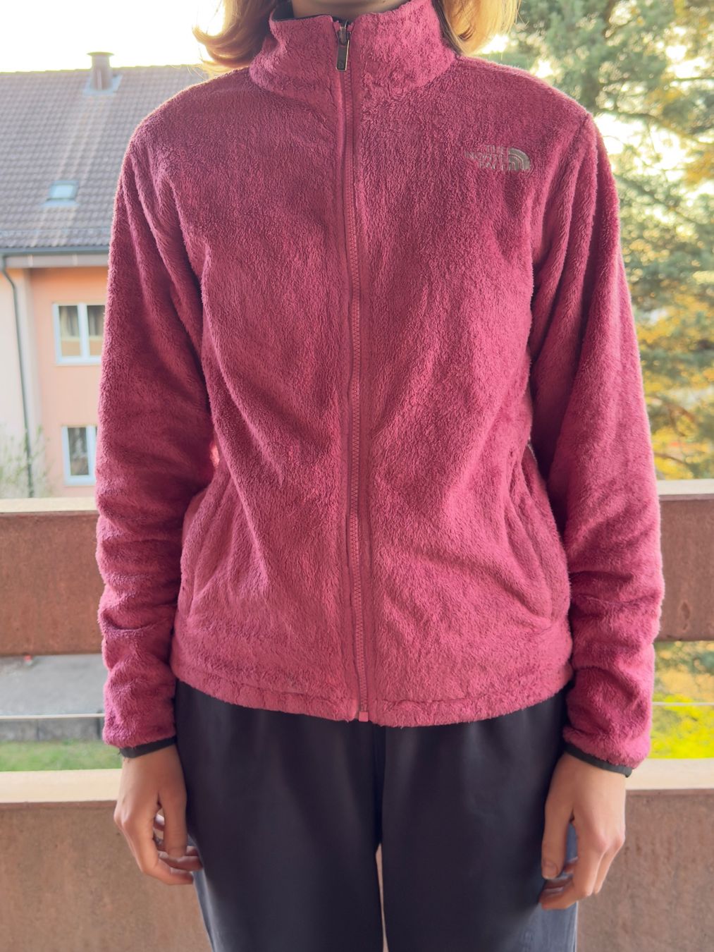 North Face Giacche: North Face Fleece Jacke – Usato da Fislisbach venduto da Vanessax