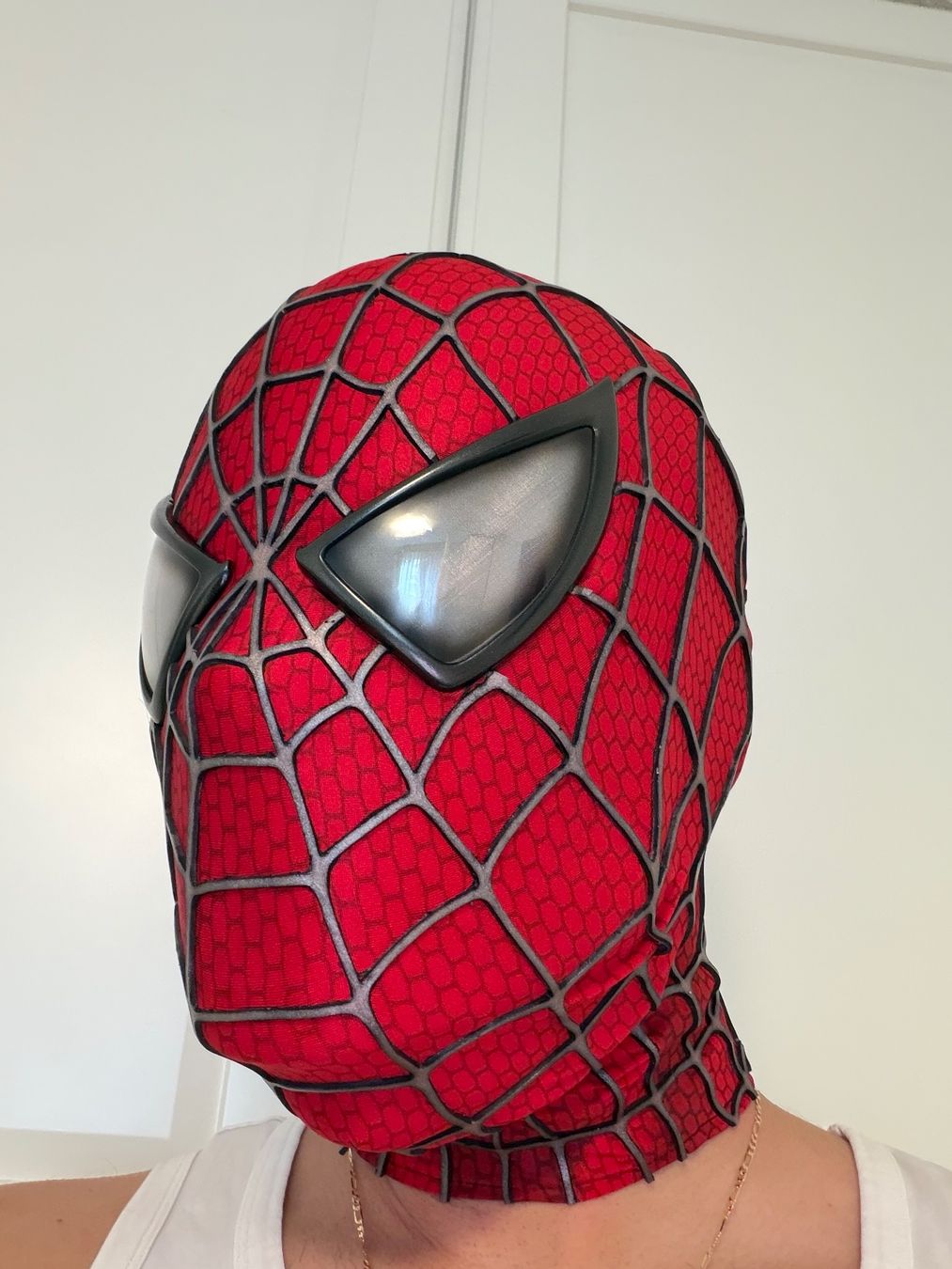 Masken: Spiderman Maske Replica neu – Gebraucht aus Emmenbrücke von nen_5ddr 5