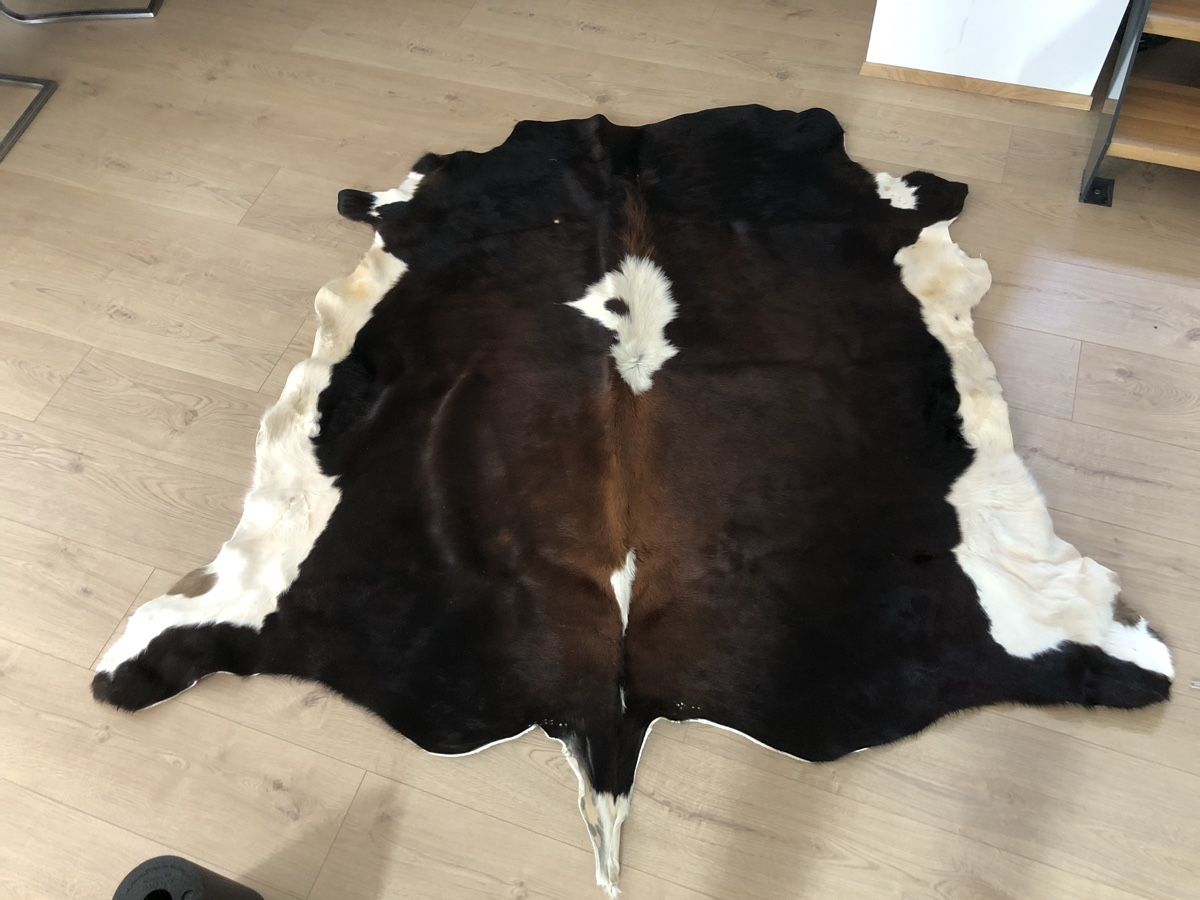 Il mondo degli animali: Texas Longhorn Fell – Nuovo e nell'imballaggio originale da Unterbach BE venduto da Mazda323Turbo