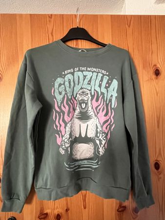 Wie neu Sweater h&m 