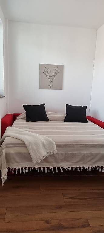 Divani: Divano letto rosso – Usato da Montagnola venduto da nat_qs7w 2