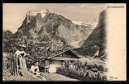 AK Grindelwald, Ortsansicht mit Chalet und Bergpanorama, Tra