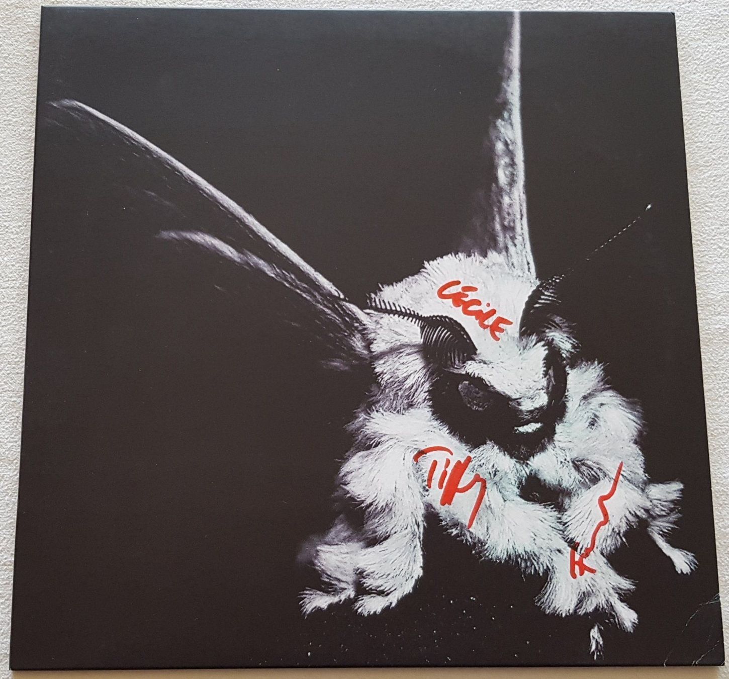 Dischi in vinile: The Moth - They Fall - LP - 2013 - First Press - SIGNED – Usato da Uster venduto da Zardodel