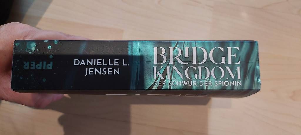 Libri: Bridge Kingdom – Usato da Wohlenschwil venduto da Fabii82 2