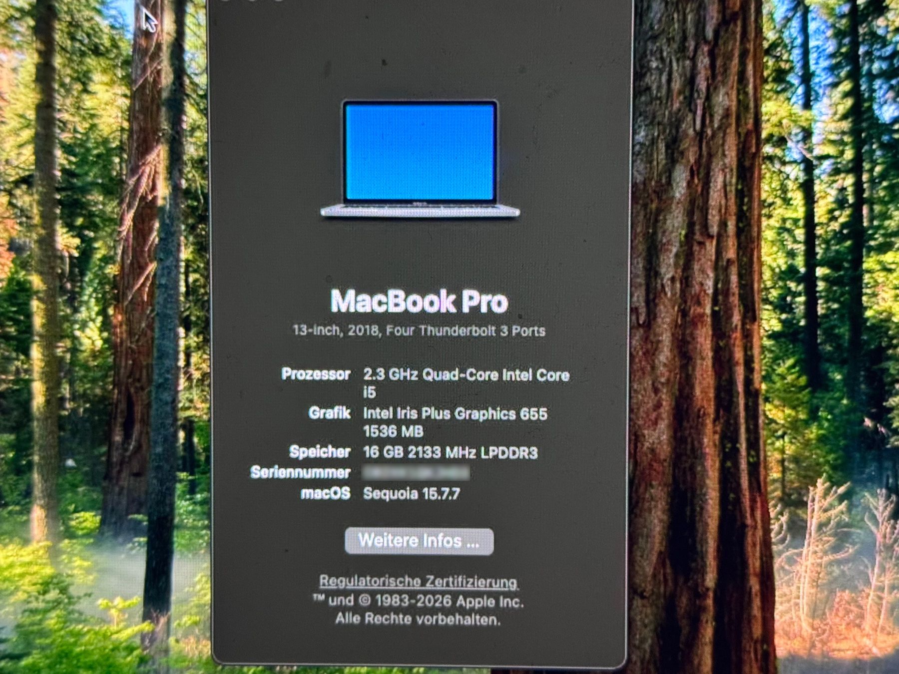 Apple Notebook: MacBook Pro 2018 A1989 Display Defekt – Difettoso da Unterengstringen venduto da NOISE 3