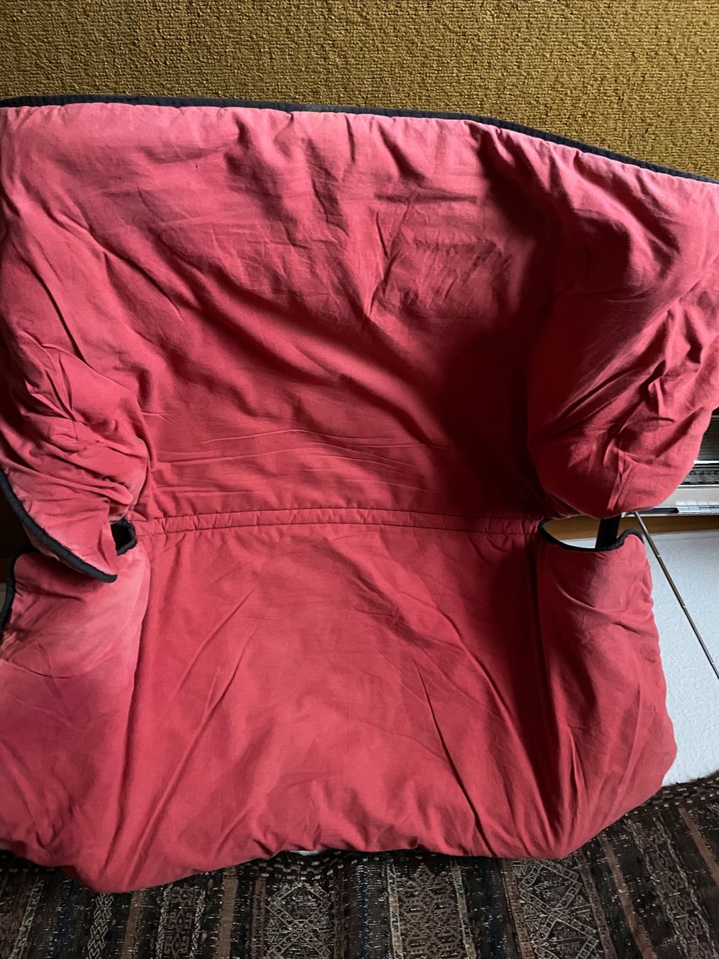 Ikea Poltrone: Gemütlicher Sessel mit Polster – Usato da Olsberg venduto da iri_pn9t 3