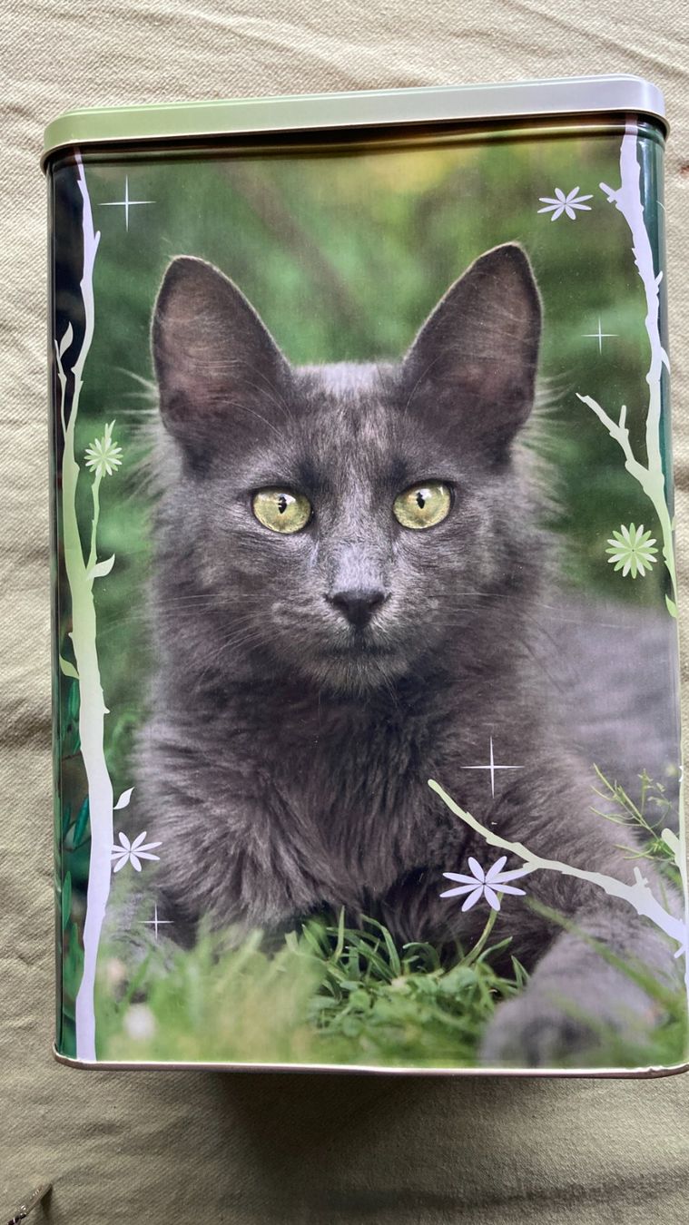 Contenitori & Simili: Royal Canin Katzen Dose – Nuovo (secondo la descrizione) da Zwingen venduto da Hugom 1
