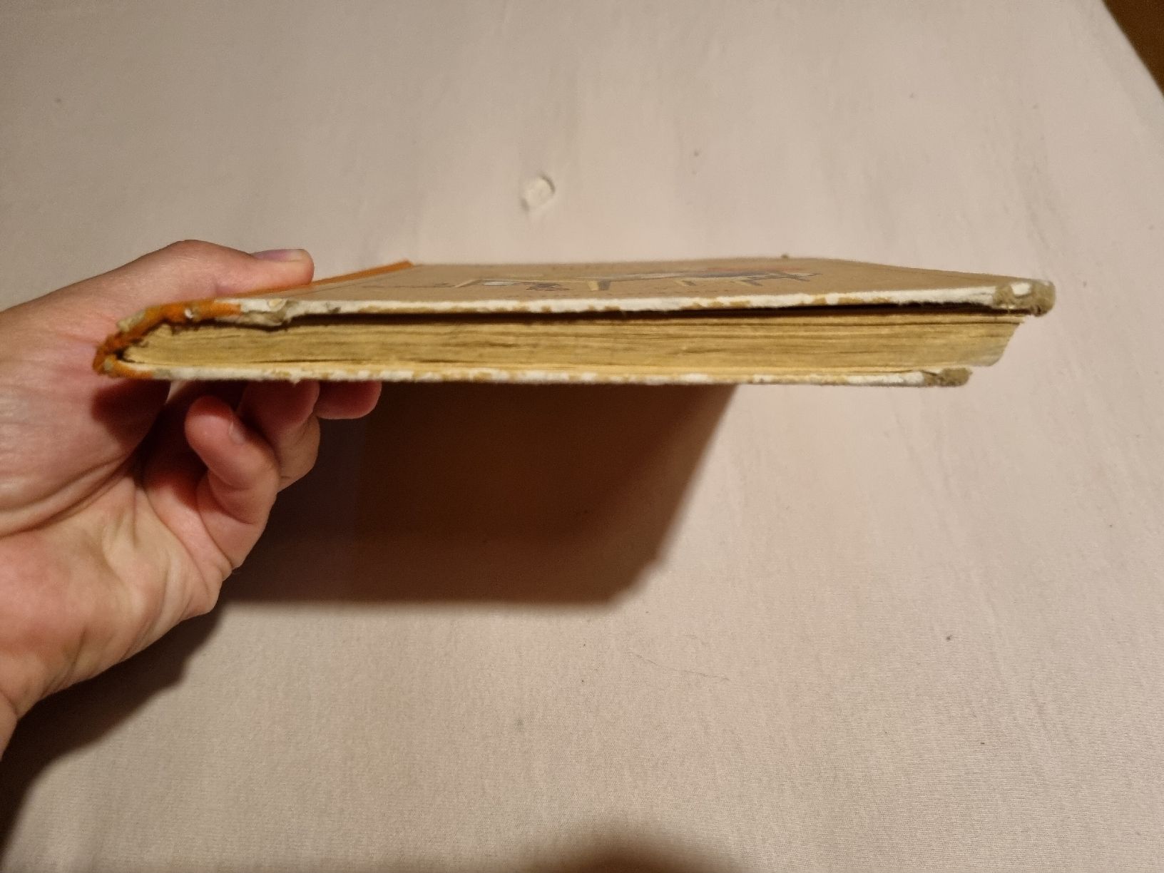 Bücher: Mon premier livre / édition Payot – Gebraucht aus Château-d'Oex von mae_6pqm 2