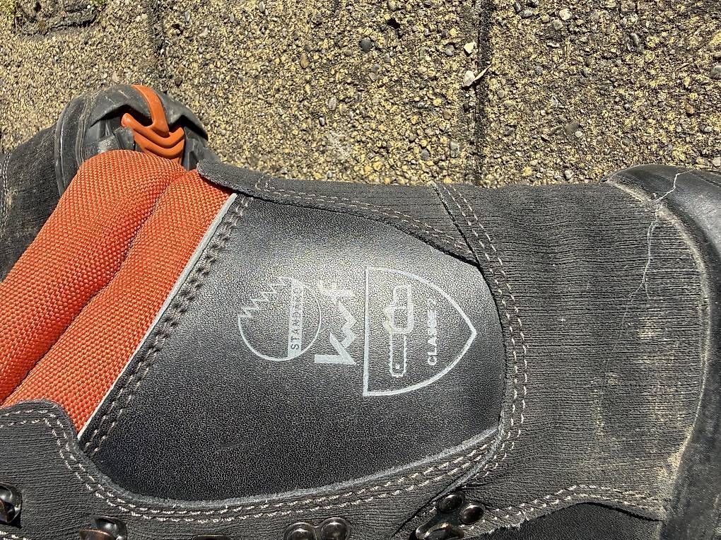 Scarpe da uomo: Landi Forstschuhe Grösse 41 – Usato da Wildberg venduto da Adler77 3