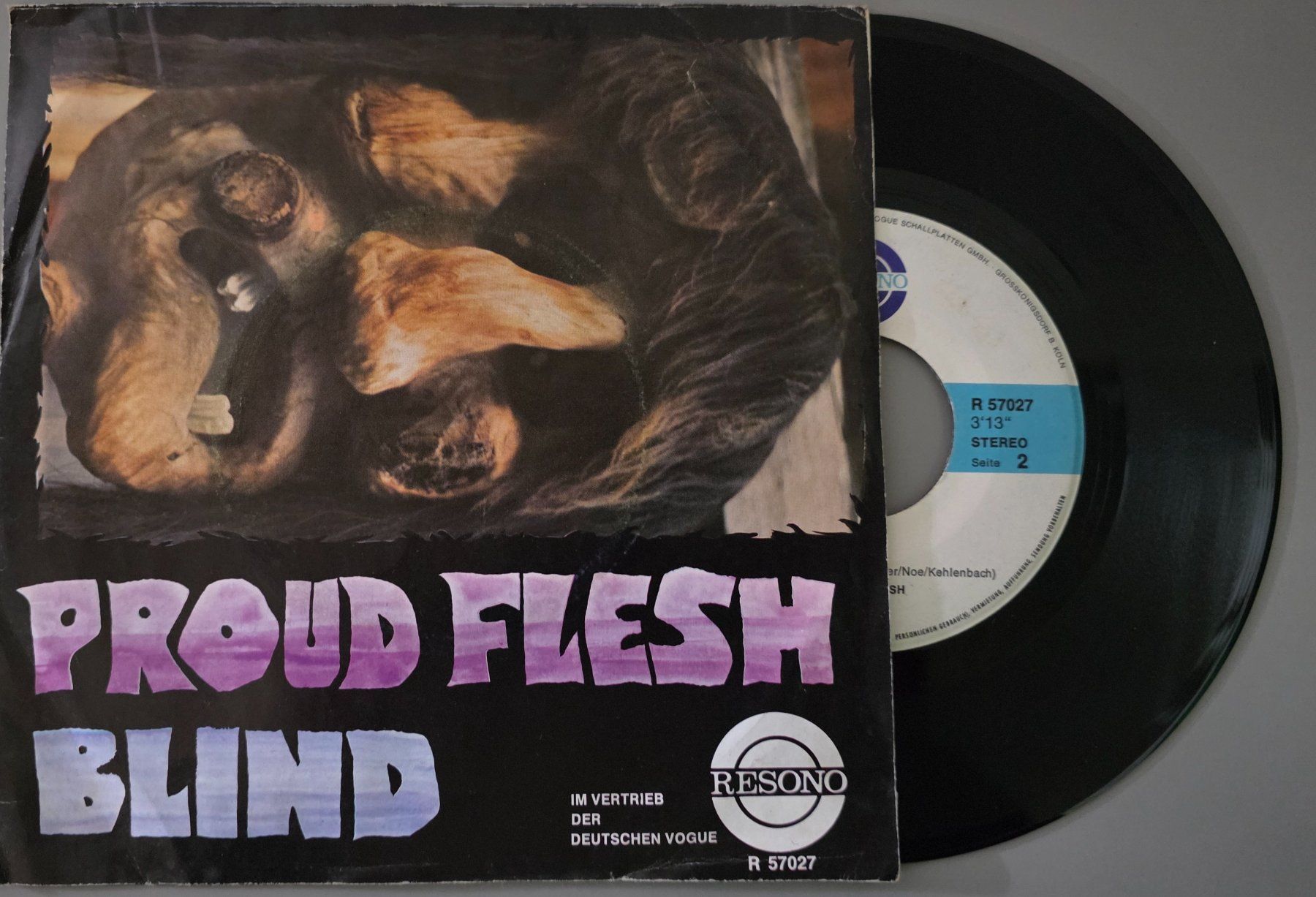 Dischi in vinile: Proud Flesh Single – Devil Flight / Blind – Usato da Root venduto da atelier22