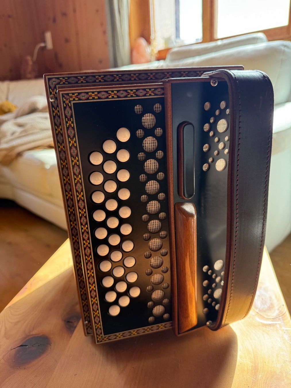 Strumenti musicali: A Halbwiener Ott Meisterinstrument – Usato da Fuldera venduto da coo_lr2c 2