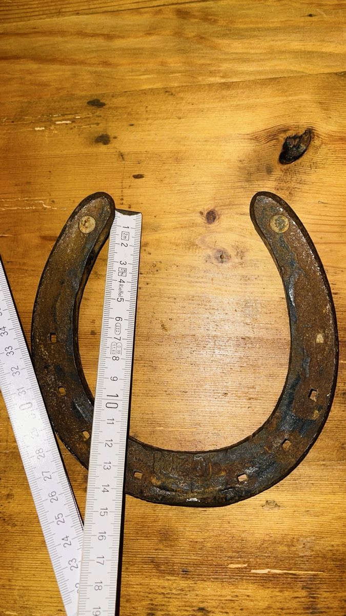 Altro in Accessori per animali: Glücksbringer Hufeisen - Rustikaler Deko-Schmuck – Usato da Schönenbuch venduto da hug_f2ny 2