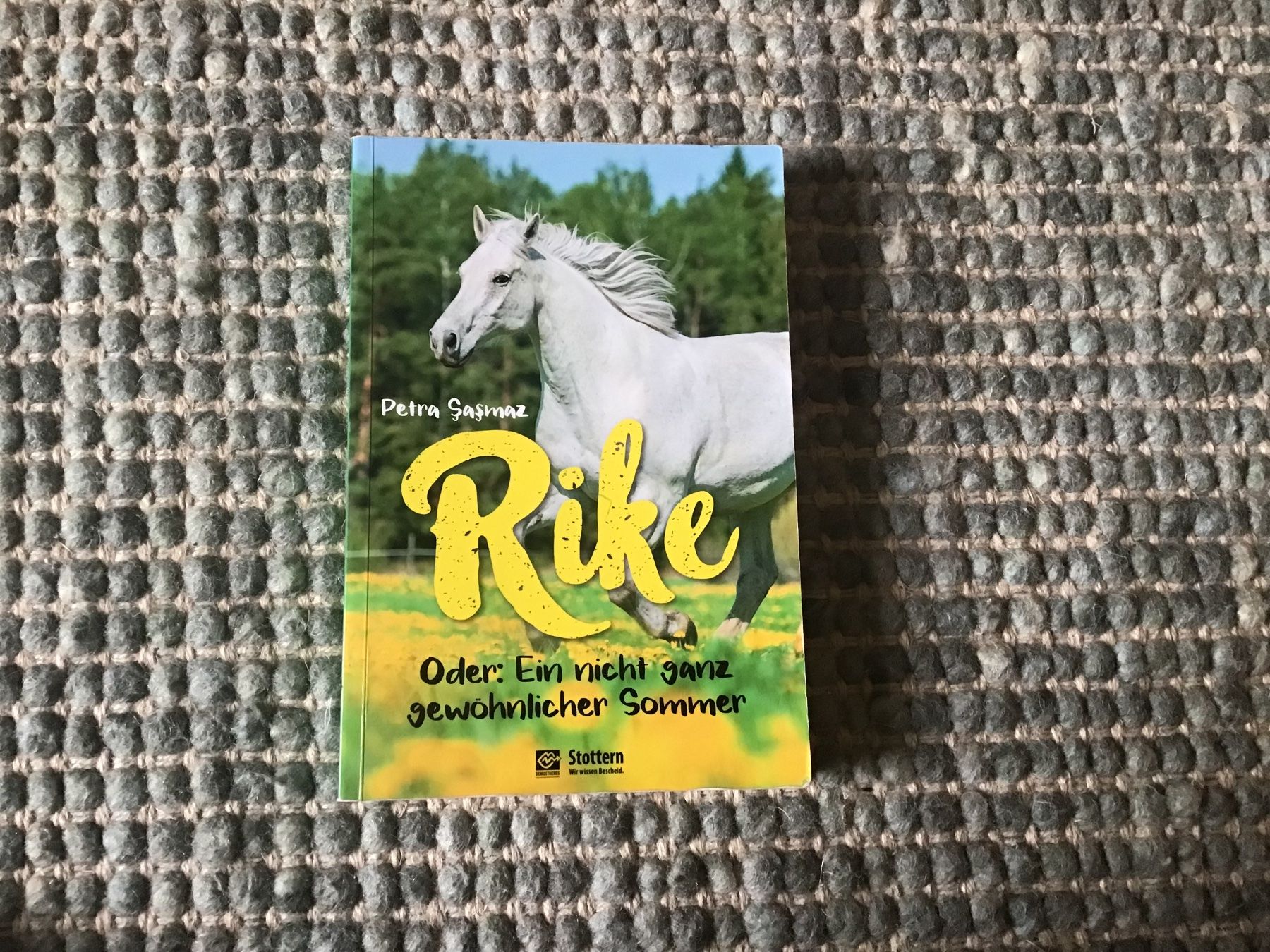 Libri: Rike oder ein nicht ganz gewöhnlicher Sommer – Usato da Langrickenbach venduto da orangecircledance