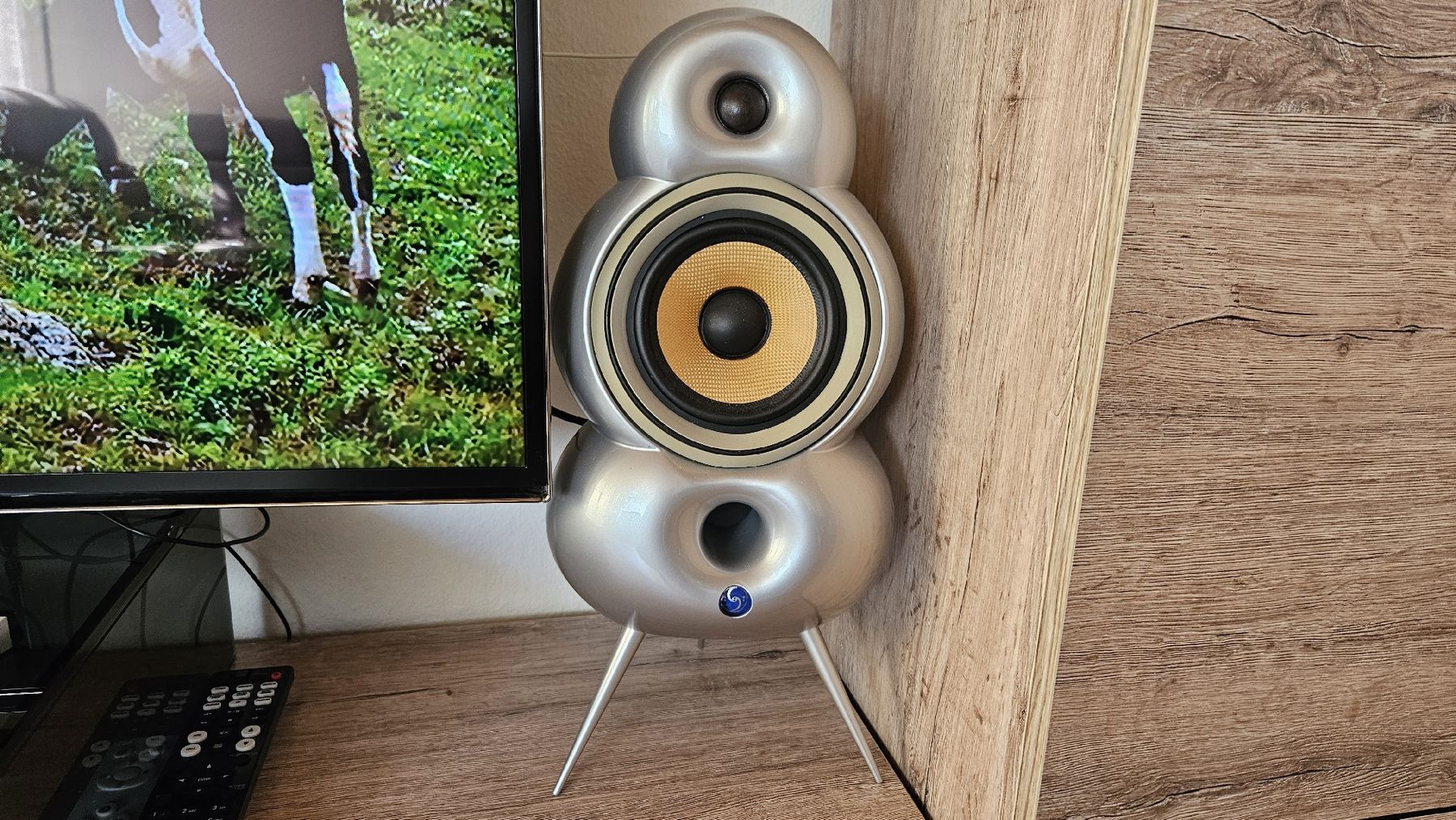 Scandyna Casse acustiche: Blue Room MiniPod Scandyna  – Usato da Jona venduto da vik_j6r6
