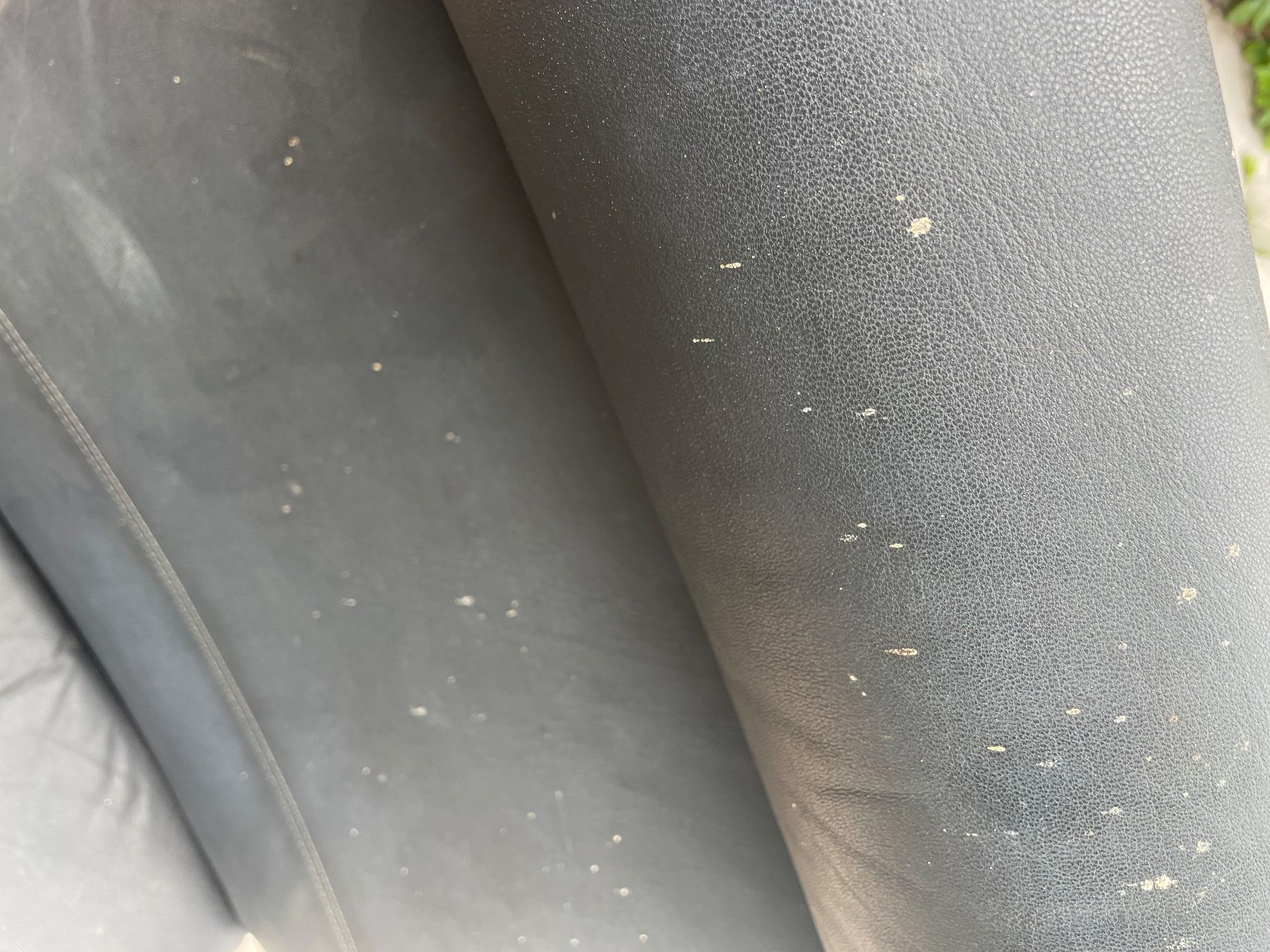 Ikea Sessel: Poäng Ikea Sessel Holz gebrauchter Zustand – Gebraucht aus Küssnacht am Rigi von Andreakamm 2