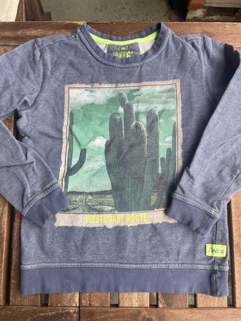 WE Sweatshirt Pullover Gr. 146-152 Kaktus 🌵 