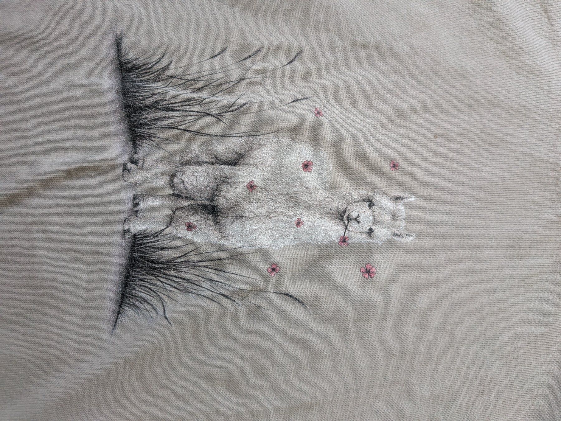 Chillaz T-shirt: Chillaz T Shirt M/38 – Nuovo (secondo la descrizione) da Langnau am Albis venduto da Ramuce 1