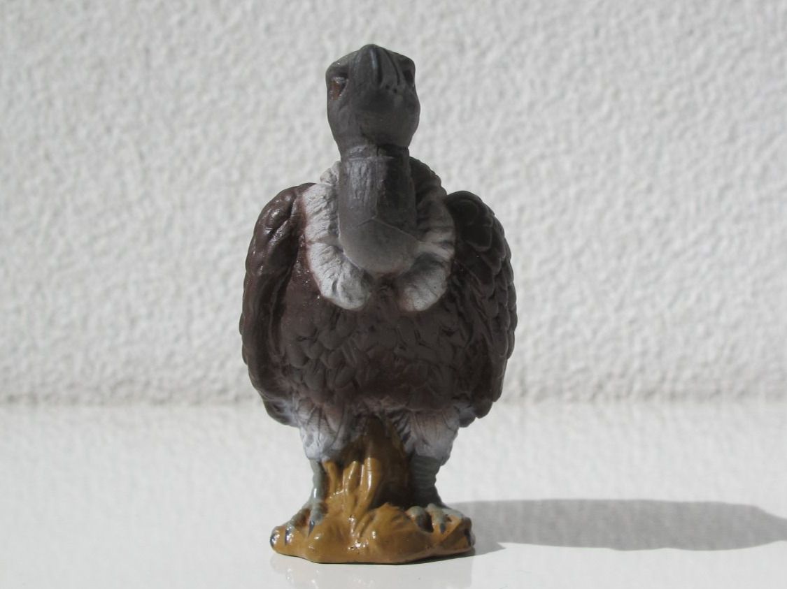 Schleich Statuette: Schleich 16706 Weissrücken Geier – Usato da Vilters venduto da hedi00 7