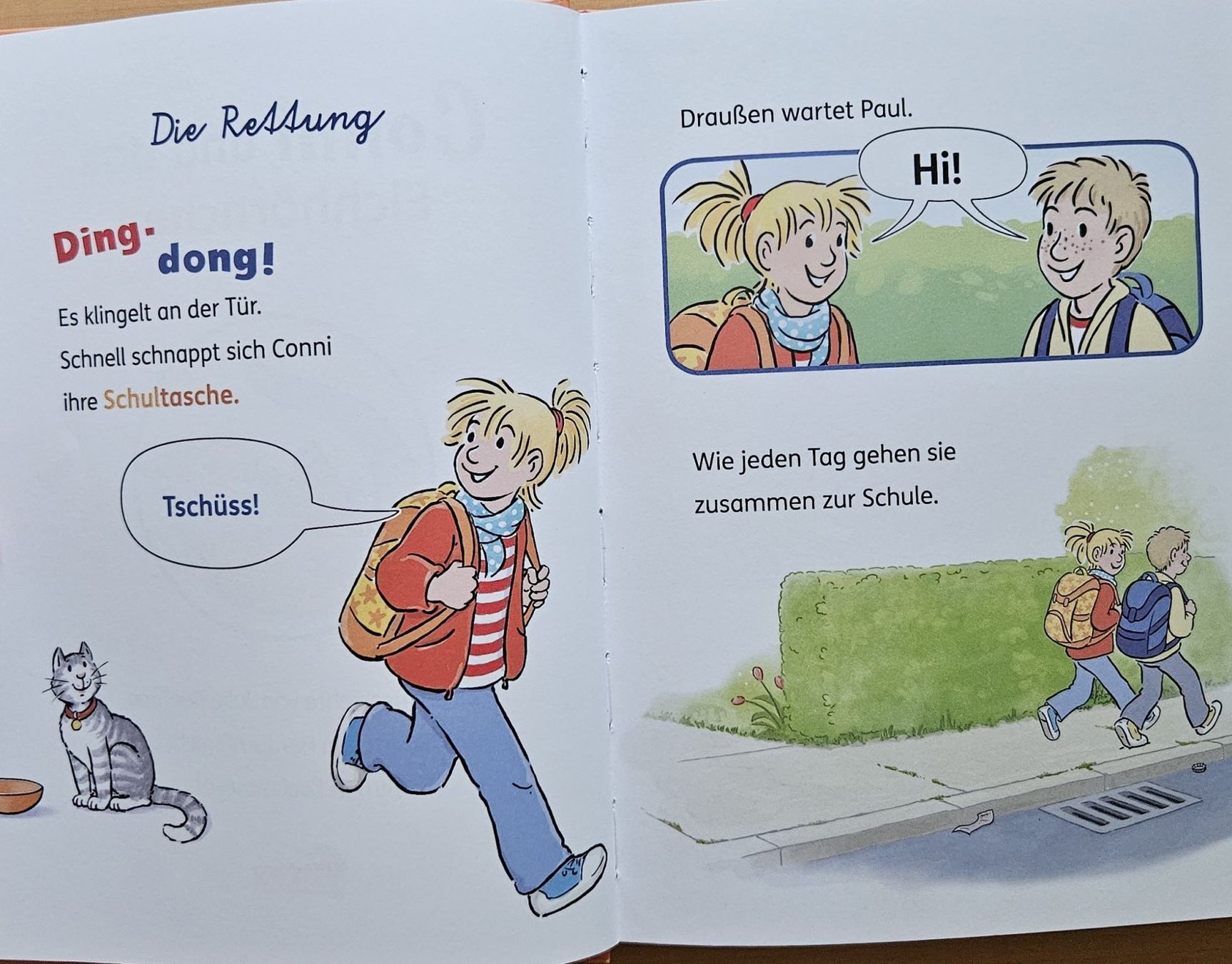 Libri: Julia Boehme: Conni und das Eichhörnchen – Usato da Schaffhausen venduto da asyouwestley 3