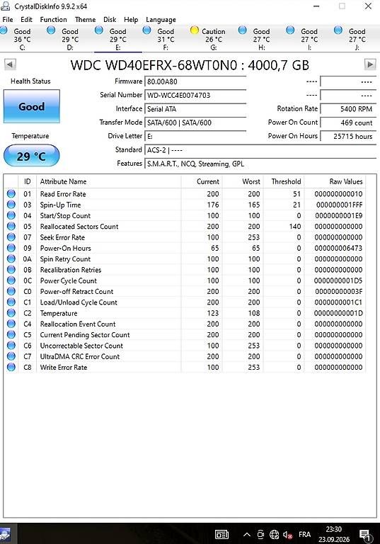 Dischi rigidi: NAS HDD 4TB WD #6 – Usato da La Chaux-de-Fonds venduto da Jolatorpille 1