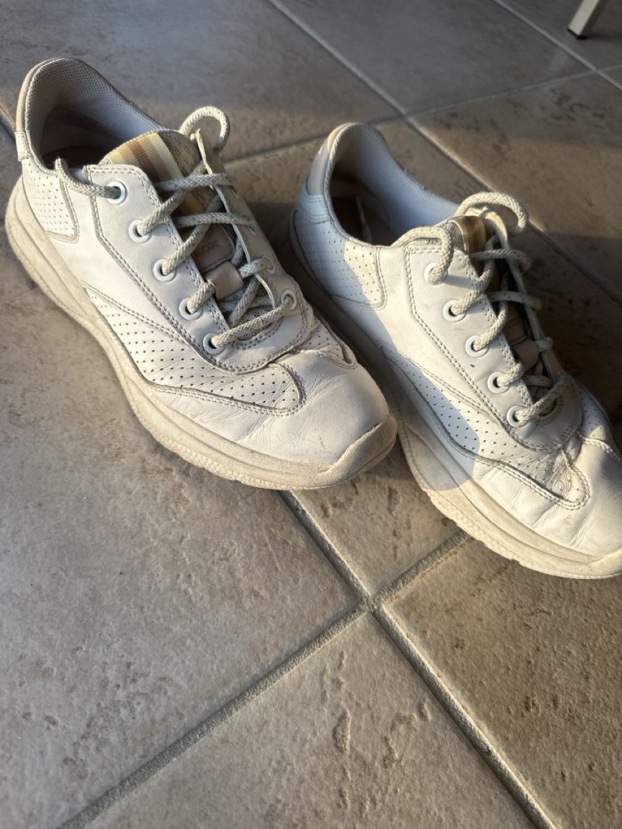 Geox Scarpe da donna: Geox sneakers (38) – Usato da St-Légier-Chiésaz venduto da arianerodic 1