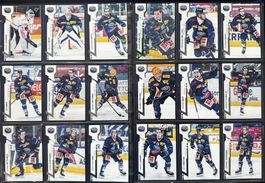 HC Ambri-Piotta, Sportzoo 
