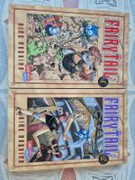 Manga Fairy Tail Band 1 und 2 Hiro Mashima gebraucht
