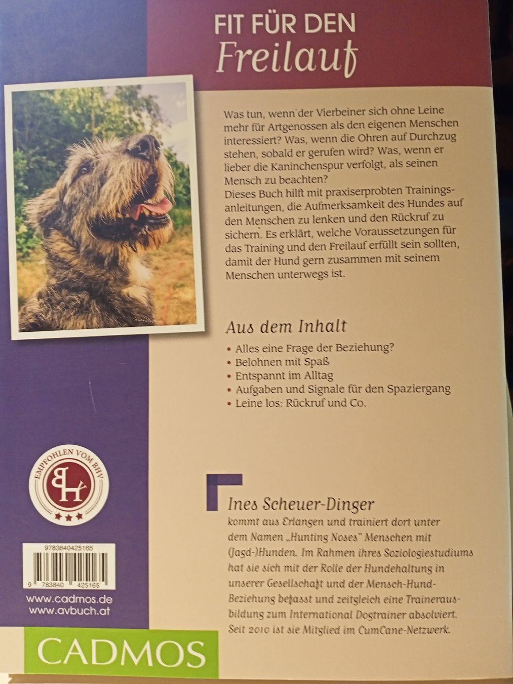 Bücher: I. Scheuner-Dinger: Abgeleint!  – Neu (gemäss Beschreibung) aus Oftringen von Myti 1