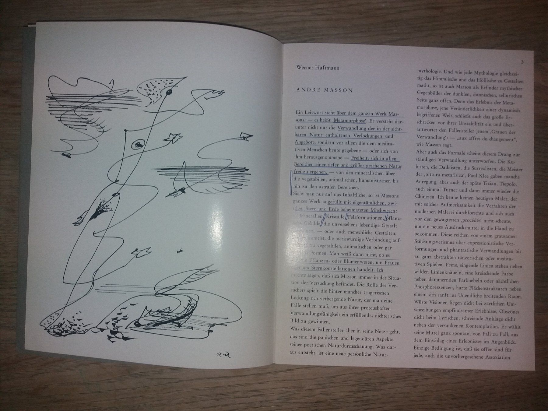 Bücher: KUNSTKLASSIKER Andre Masson 1965 deutscher text – Gebraucht aus Welschenrohr von Regool 4